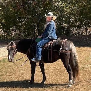 Meet your Posher, Leslie